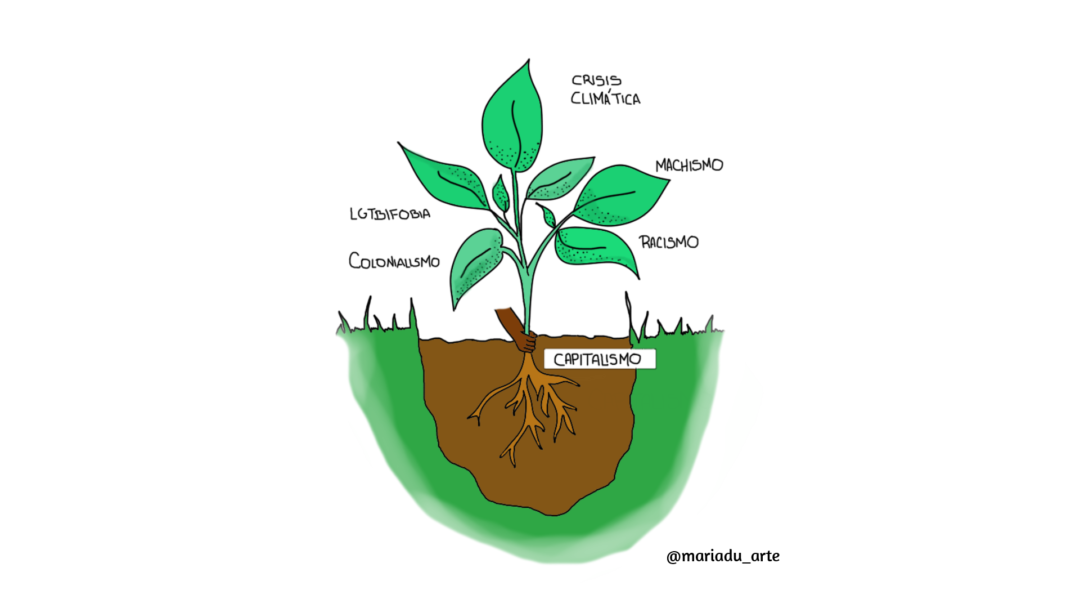 Una planta y sus raíces